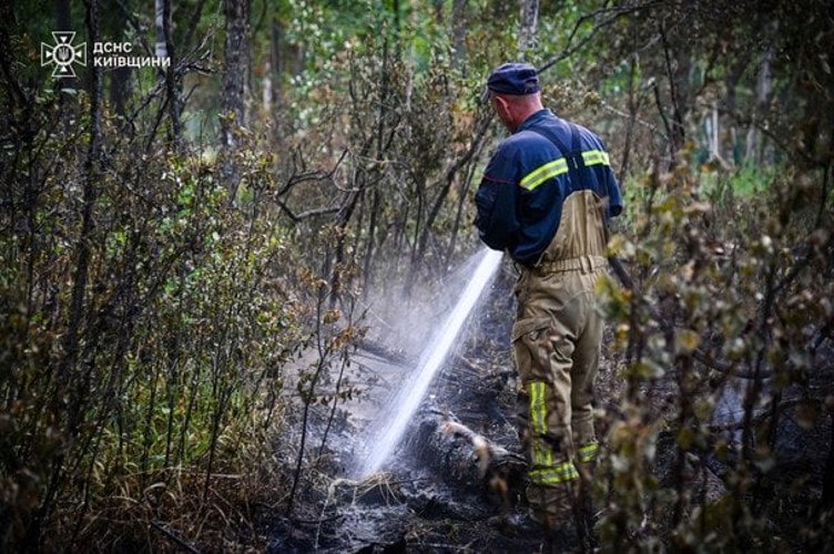 Рятувальники ліквідовують пожежу у Чорнобильських лісах / фото ДСНС